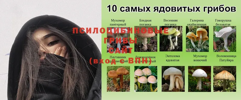 hydra ONION  Урюпинск  Псилоцибиновые грибы мицелий 